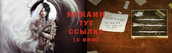 прущая мука Вяземский