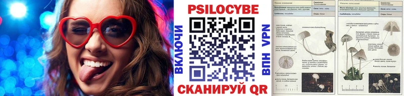 Псилоцибиновые грибы GOLDEN TEACHER  Жуков 